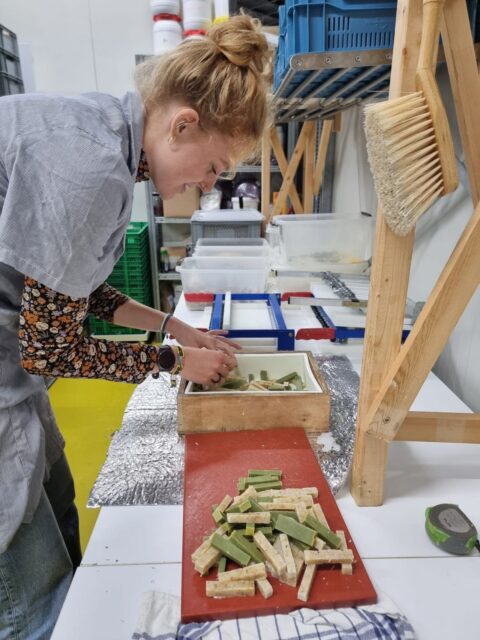 Collectie Oldambt Nynke Bouma